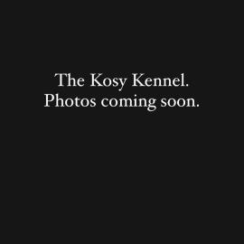 The Kosy Kennel
