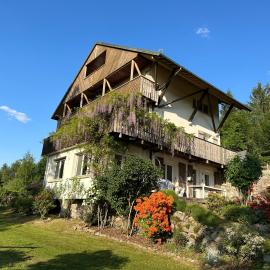 Gérardmer chalet le Belvédere vue lac, piste de ski