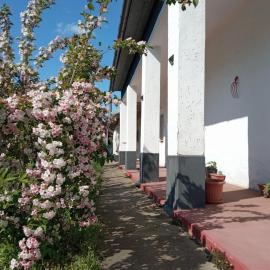 Szelíd Tisza Vályog Vendégház Tiszafüred