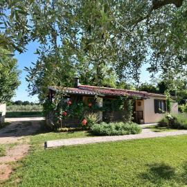 House Ariella