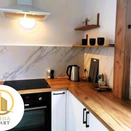 Apartament Miedziany