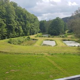 Pulgersmühle, EG, hotel en Altstrimmig