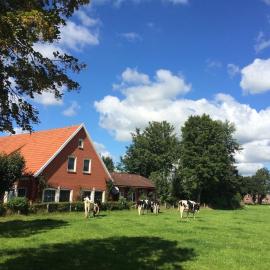 Ostfriesland Ferien Villa - 24 Personen - Sauna, Whirlpool , Kino, und Bar, hotel en Backemoor