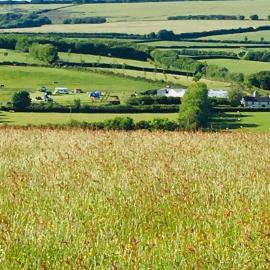 Headgate Farm Camp Site - Pitches Only - Bring your own tent or van, hotel in South Molton