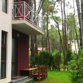 Shekvetili Sweet Home