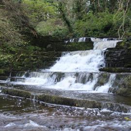 Dunneill River Rest, hotel din Charlesfort