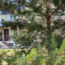 Apartamentas Kurėnas