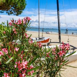 Plage Benoît à 80m, terrasse & jardinet 10