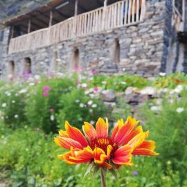 Fortress House Khakhabo, hotel em Khakhabo