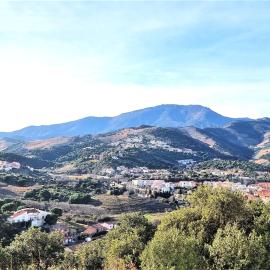 Appartement 3 pièces avec terrasse et WIFI à Banyuls-sur-Mer - FR-1-309-459, hotel in Banyuls-sur-Mer