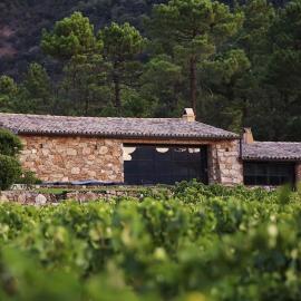 Bergerie dans les Vignes