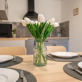 Tündérkert Apartman, hotel in Gyula