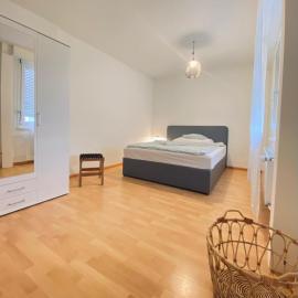 Business-Wohnung Messe Basel, viešbutis Bazelyje