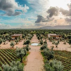 Hábimo - Valle de Guadalupe, hotel u gradu Valje da Gvadalupe