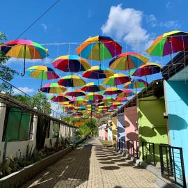 Sunshine Stay Panglao