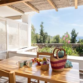 Blue Vista Double Apartment