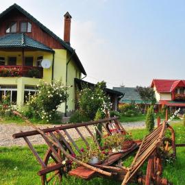 Pensiunea Cotiso, hotel din Costeşti
