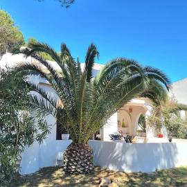 Casa Lesandar Ferienhaus auf Mallorca
