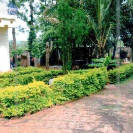 Woodside Resort and Cafe, Hotel in Yelagiri