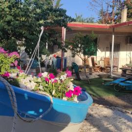 Il giardino di zio Pino