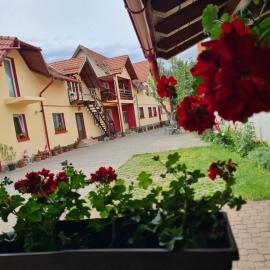 Vila Vlăduț