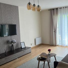 Superbe Appartement tout équipé, Coins cosy à Metz gare, 50M2, Parking privé, Balcon, 2p, hotel in Metz