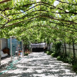 borjomi wood edge, hotel i Borjomi