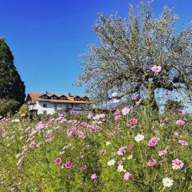 Bergchalet Mirabell Ferienwohnungen - Natururlaub am Bodensee, Hotel in Friedrichshafen