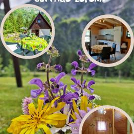 Cottage Lepena, hotelli kohteessa Soča