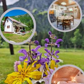 Holiday house Lepena, hotelli kohteessa Soča