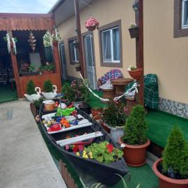 Casa Tulceanu, Hotel in Sulina