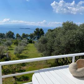 ALIDA Properties