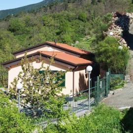 Domus Milli