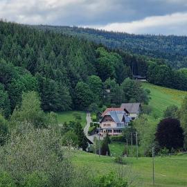 Auberge La Tête En L'Air, hotel in Le Hohwald