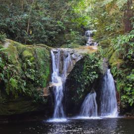 hot springs jungle, hotel in Shintuya