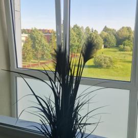 Apartamentai Naujojoje Akmenėje, hotel in Naujoji Akmenė