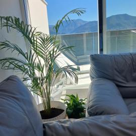 Blue sky apartman