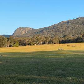 Manyat Peak cottages Boobook, hotel in Porongurup