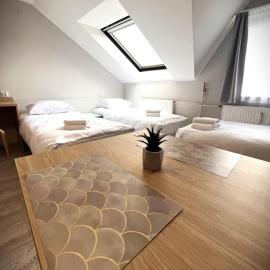 Apartamenty Wilczyńskiego, hotel a Olsztyn