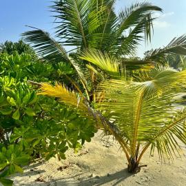 Oi Beach, hotel a Maamigili