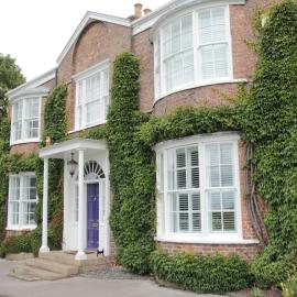 Studio - Sleeps 2 - Pets - Parking - Wifi