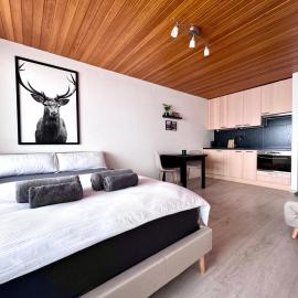 Studio mit See- und Bergblick, hotel em Laax