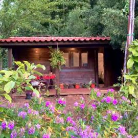 O Cantinho de Coura - a cabana, hotel in Paredes de Coura