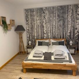Forest Apartment-Forest Escape Menzenschwand, hotell sihtkohas St. Blasien