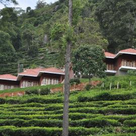 Hanging Huts Resorts, hotel in Kotagiri