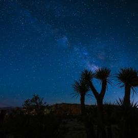 Skelton Compound, hotel in Twentynine Palms