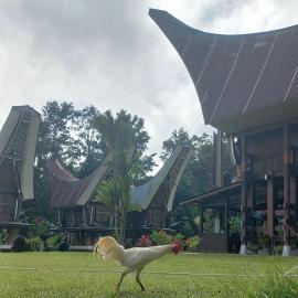 Toraja Homestay & Coffee Bunna, hotel v mestu Rantepao
