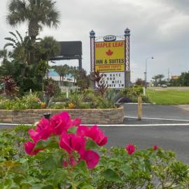 Maple Leaf Inn & Suites, hotel in Kissimmee