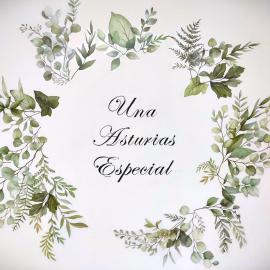 Una Asturias Especial, hotel sa Arriondas