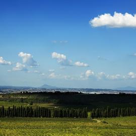 Merumalia Wine Resort、フラスカーティのホテル